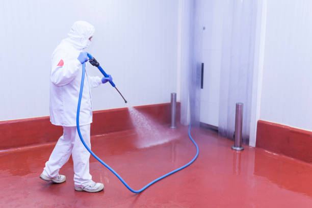 Best Roof Washing  in Godfrey, IL